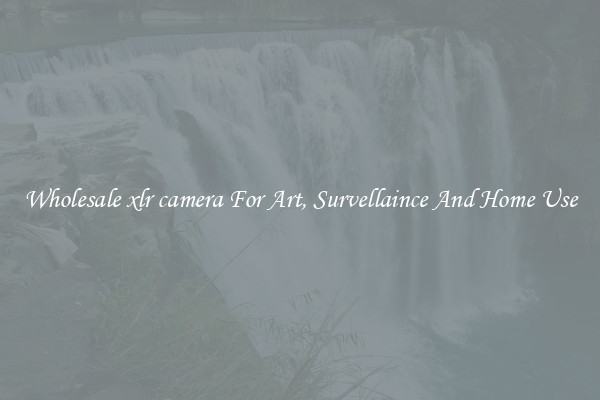Wholesale xlr camera For Art, Survellaince And Home Use