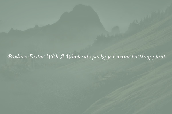 Produce Faster With A Wholesale packaged water bottling plant
