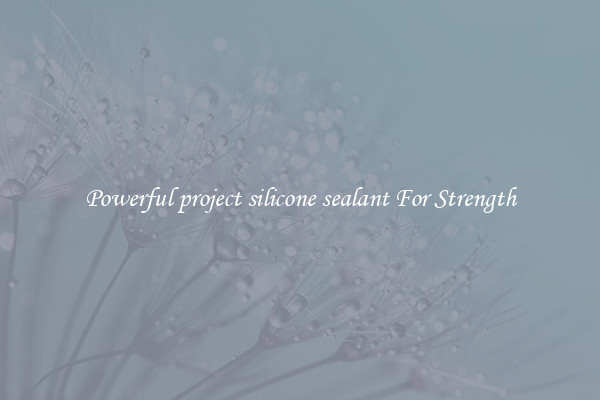 Powerful project silicone sealant For Strength
