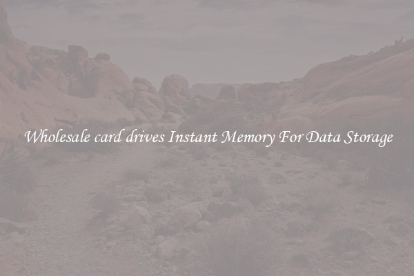 Wholesale card drives Instant Memory For Data Storage