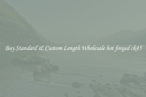 Buy Standard & Custom Length Wholesale hot forged ck45
