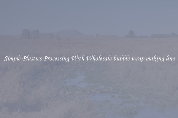 Simple Plastics Processing With Wholesale bubble wrap making line