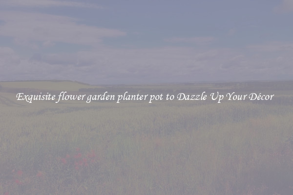 Exquisite flower garden planter pot to Dazzle Up Your Décor  