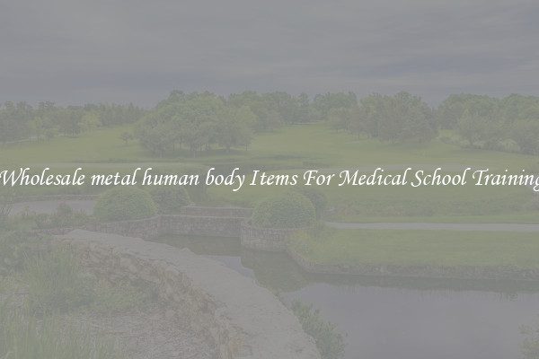 Wholesale metal human body Items For Medical School Training
