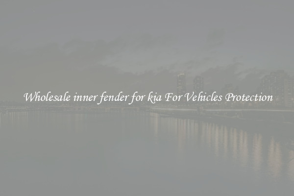 Wholesale inner fender for kia For Vehicles Protection