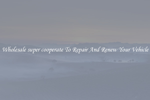 Wholesale super cooperate To Repair And Renew Your Vehicle