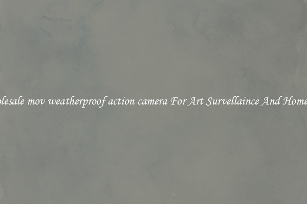 Wholesale mov weatherproof action camera For Art Survellaince And Home Use