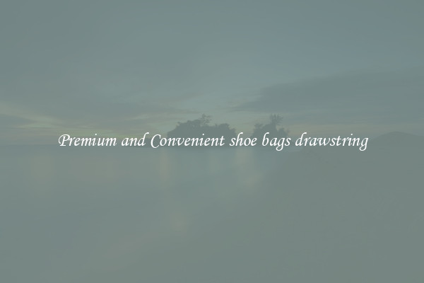 Premium and Convenient shoe bags drawstring