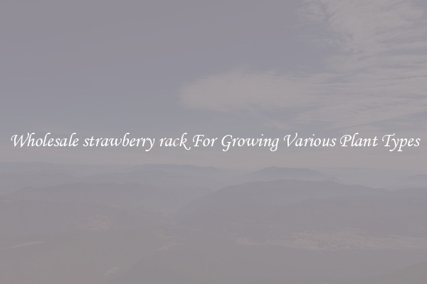 Wholesale strawberry rack For Growing Various Plant Types