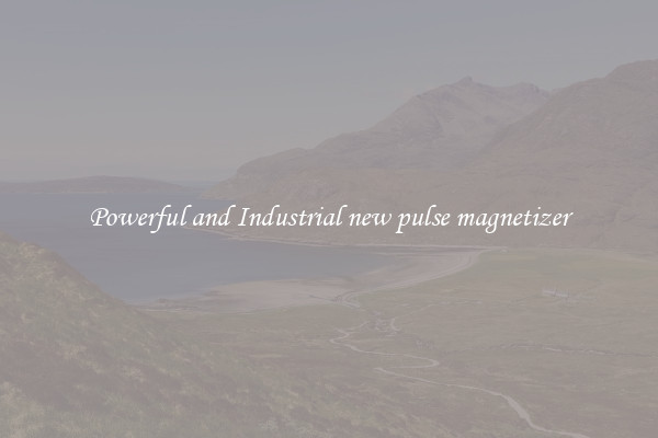 Powerful and Industrial new pulse magnetizer