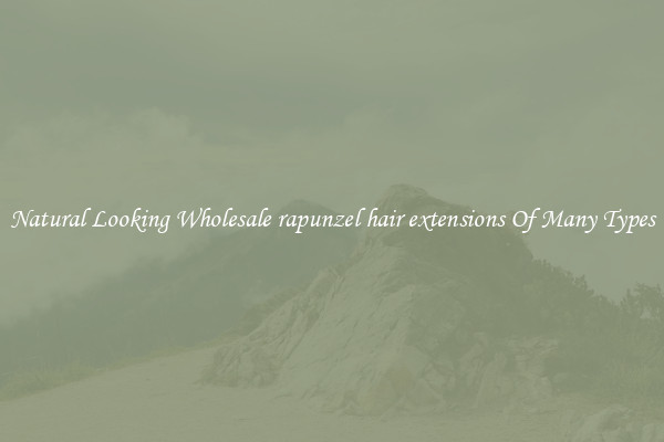 Natural Looking Wholesale rapunzel hair extensions Of Many Types