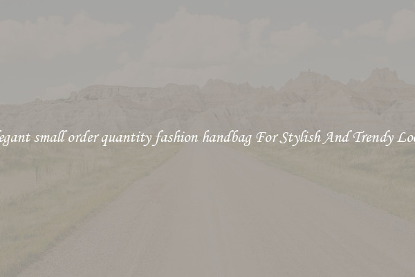 Elegant small order quantity fashion handbag For Stylish And Trendy Looks
