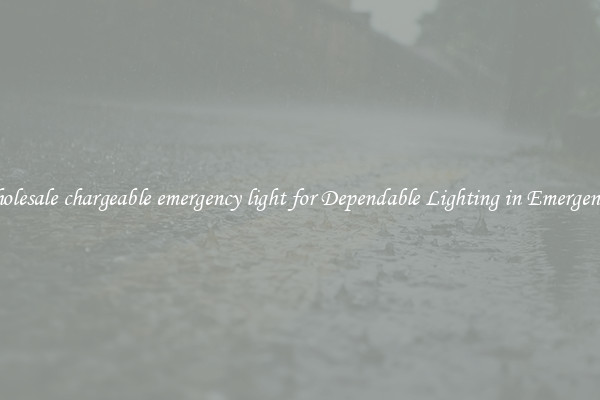 Wholesale chargeable emergency light for Dependable Lighting in Emergencies