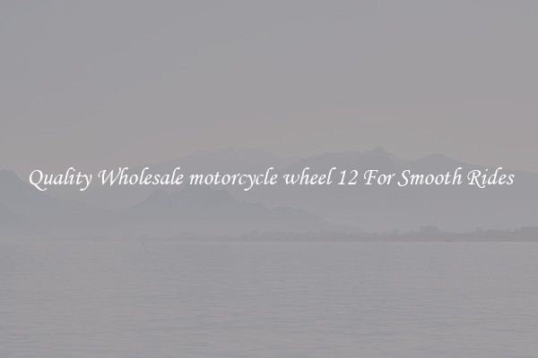 Quality Wholesale motorcycle wheel 12 For Smooth Rides