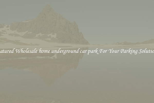 Featured Wholesale home underground car park For Your Parking Solutions 